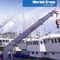 Marine Boom Jib Crane 40tons con il vuotamento idraulico per la nave 18m/Min